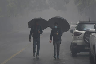 Thunderstorms with moderate rainfall likely in parts of Tamil Nadu, Puducherry during next 5 days