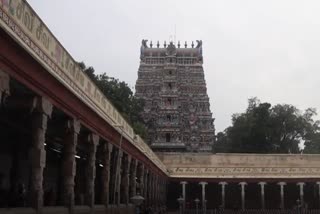 மீனாட்சி அம்மன்