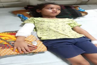 Dog attack on 7 years old girl