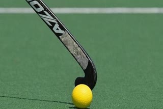 India vs Netherlands, India lose to Netherlands, FIH Pro League men's title, India hockey updates