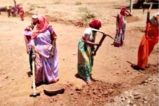 MGNREGA in Rajasthan