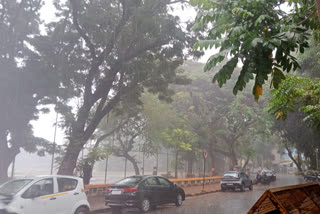 Heavy Rain Will Be Come In Mumbai