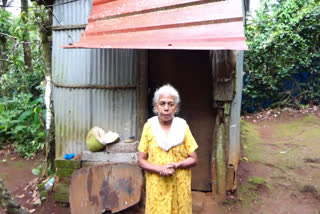 ഇടുക്കി വയോധിക ഒറ്റമുറി ഷെഡ് ദുരിത ജീവിതം  അന്നക്കുട്ടി ലൈഫ് ഭവന പദ്ധതി  സൗജന്യ ഭവന നിർമാണ പദ്ധതി പട്ടികയില്‍ നിന്ന് വയോധിക പുറത്ത്  idukki old woman not included in life mission beneficiary list  old woman lives in a shed in idukki  life mission scheme irregularities in idukki