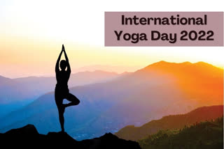 International Yoga Day 2022, International Yoga Day History, International Yoga Day 2022 theme, yoga tips for beginners, meditation tips, how is yoga good for health