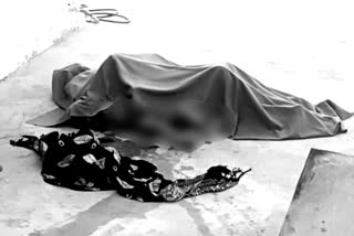 Jodhpur Crime News  Rajasthan News  Suicide Case in Jodhpur  woman died by drowning in water tank in Jodhpur  ರಾಜಸ್ಥಾನದಲ್ಲಿ ನೀರಿನ ಟ್ಯಾಂಕ್​ಗೆ ಬಿದ್ದು ಮಹಿಳೆ ಮತ್ತು ಮಕ್ಕಳು ಸಾವು  ಜೋಧಪುರ ಆತ್ಮಹತ್ಯೆ ಪ್ರಕರಣ  ರಾಜಸ್ಥಾನ ಸುದ್ದಿ  ರಾಜಸ್ಥಾನ ಅಪರಾಧ ಸುದ್ದಿ