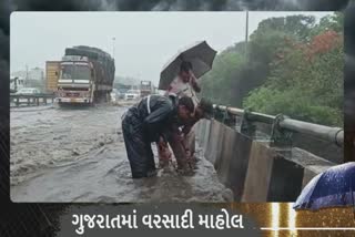 Rains in Valsad : પારડી બ્રિજ પર જોવા મળી રહી છે હાઈવે ઓથોરિટીની ઘોર બેદરકારી