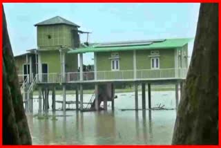 Flood in Kaziranga National Park