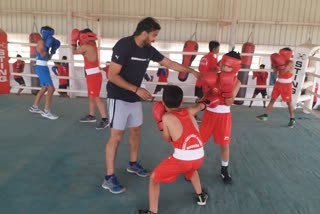 manoj kumar boxing academy karnal