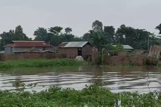 Flood situation turns critical in Dhubri