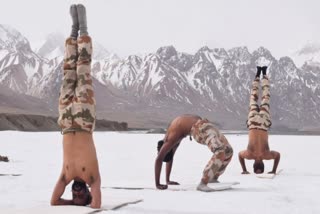 International Day of Yoga Celebrations 2022 india ITBP perform Yoga in Ladakh at 17,000 feet