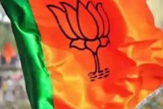 bjp may pick to candidate for presidential polls