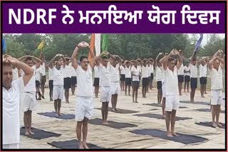 Yoga Day was also celebrated by NDRF, a large number of people took part In Bathinda