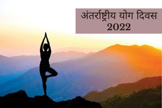 International Yoga Day 2022,  International Yoga Day History,  International Yoga Day 2022 theme,  yoga tips for beginners,  meditation tips,  how is yoga good for health, विश्व योग दिवस, अंतर्राष्ट्रीय योग दिवस