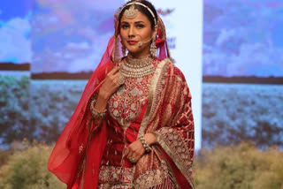 shehnaaz gill ramp debut