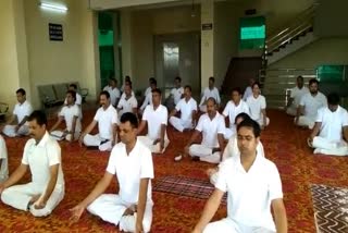 international yoga day celebration in nayagarh