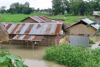 Flood situation in Assam still critical  അസമിലെ വെള്ളപ്പൊക്കത്തിൽ ഒലിച്ചുപോയത് 5232 മൃഗങ്ങൾ  അസമിലെ വെള്ളപ്പൊക്കം ജീവൻ നഷ്‌ടപ്പെട്ടത് 73 പേർക്ക്  സങ്കീർണമായി അസമിലെ പ്രളയം  അസമിലെ പ്രളയം  അസമിൽ ഗുരുതരമായി വെള്ളപ്പൊക്കം  അസമിലെ പ്രളയബാധിത പ്രദേശങ്ങൾ  അസമിലെ വെള്ളപ്പൊക്കത്തിൽ മരണ സംഖ്യ ഉയരുന്നു  73 person lost their lives in Assam flood  Flood situation in Assam still critical  Assam flood