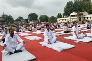 Yoga Day celebrated in Koriya