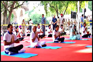 Yoga Day Celebrated In Rock Garden