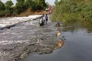 Jabalpur Pariat River over flowing people crossing river by risking their life