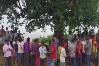Goats including shepherd standing under tree died due to lightning