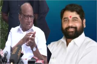 Sharad Pawar About Eknath Shinde