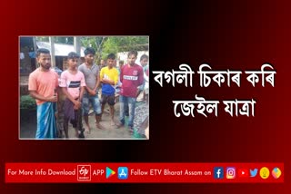 Lakhimpur youth arrested for hunting bird