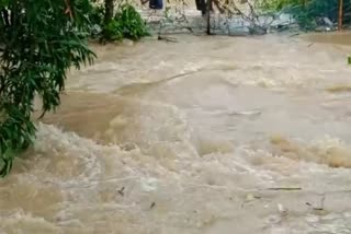 flood-in-nagaon
