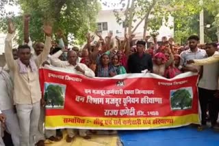 Forest employees arrested in Gurugram