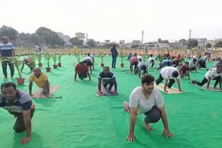 yoga day celebrations