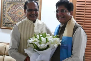 CM Shivraj meets Union Ministers