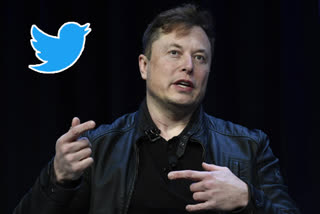 Elon Musk Twitter deal