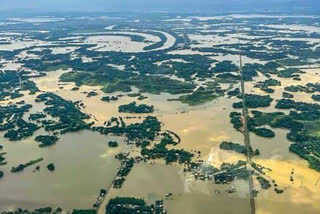 Atleast 80 people dead and 5577 villages still submerged in Assam floods