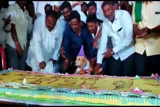 dog birthday celebration in Belagavi