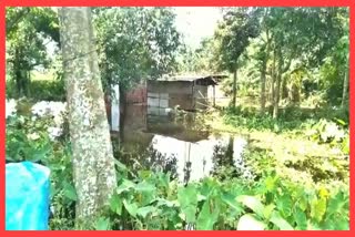 body fround floating in Flood water at Barpeta