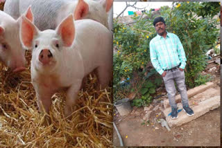 a-man-died-with-ate-pork-meat-in-srikakulam