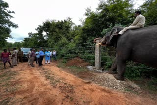 ಕಾಡಾನೆ ಹಾವಳಿ ತಡೆಗೆ ಸ್ಟೀಲ್​ ವೈಯರ್​ ರೋಪ್​ ಬ್ಯಾರಿಕೇಡ್