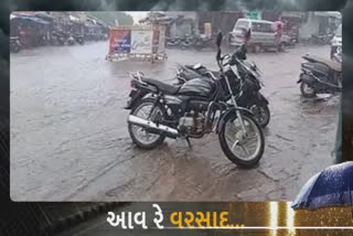 Monsoon 2022: આખરે ઉમરપાડામાં મેઘરાજાએ દીધી દસ્તક, બજારો થઈ પાણી પાણી