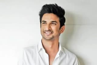 Sushant Singh Rajput suicide case