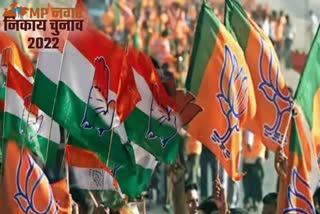 MP local elections rebels trouble BJP and congress parties ready for strict action