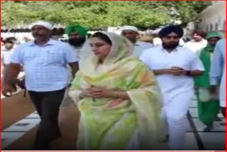 Harsimrat Badal arrives at Sachkhand Sri Harmandir Sahib to pay obeisance