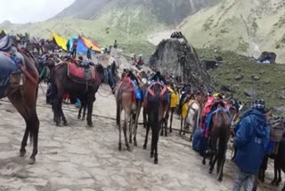 Animal Husbandry Minister Saurabh Bahuguna