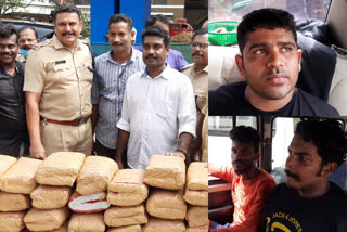 തിരുവനന്തപുരത്ത് വൻ കഞ്ചാവ് വേട്ട  THREE ARRESTED WITH 125 KG CANNABIS IN KAZHAKOOTAM  കഴക്കൂട്ടത്ത് 125 കിലോ കഞ്ചാവ് പിടികൂടി  കഴക്കൂട്ടത്ത് കഞ്ചാവ് വേട്ട  GANJA SEIZED FROM KAZHAKOOTAM