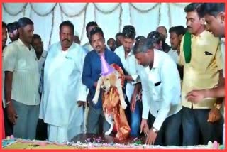 a-village-panchayat-member-celebrated-his-pet-dogs-birthday-by-cutting-a-100-kg-cake