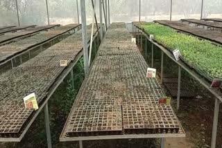 mini seedling unit