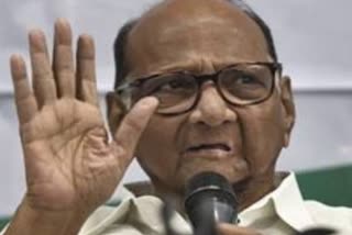 Sharad pawar warning to rebel shivsena mla