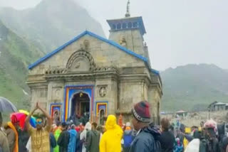 175 horses, mules die in ongoing Kedarnath Yatra so far