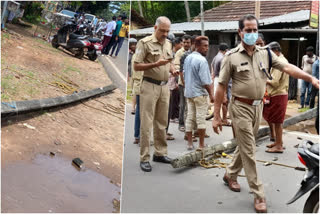 KSEB contractor in police custody  man died electric post fell his head incident  kozhikode KSEB contractor in police custody  കോഴിക്കോട് കെഎസ്ഇബി കരാറുകാരന്‍ കസ്‌റ്റഡിയില്‍  കോഴിക്കോട് കെഎസ്ഇബി  നടുവട്ടത്ത് വൈദ്യുതി പോസ്റ്റ് തലയില്‍ വീണ് യുവാവ് മരിച്ച സംഭവം  കെഎസ്‌ഇബി വൈദ്യുത പോസ്‌റ്റ് അപകടം