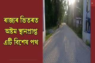 road-of-chatia-ranked-eighth-position-within-the-state