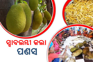 jack fruit becomes source of income in keonjhar tribal area