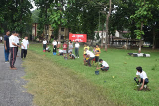 অসম ৰাইফলছৰ লখৰা বেটেলিয়নৰ গছপুলি ৰোপণ কাৰ্যসূচী